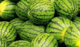 吃瓜--今日大赛完整版 今日吃瓜完整版免费,大赛完整版免费放送，精彩瞬间一网打尽